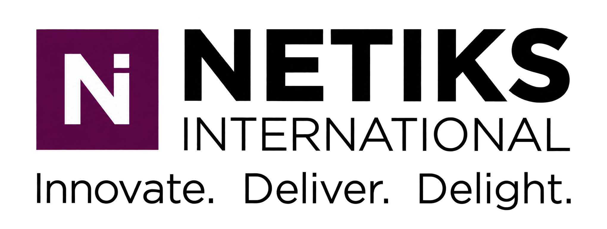 NETIKS International Logo